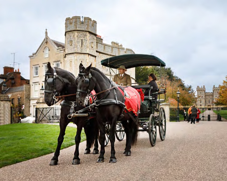 Horse Drawn Carriage Ride